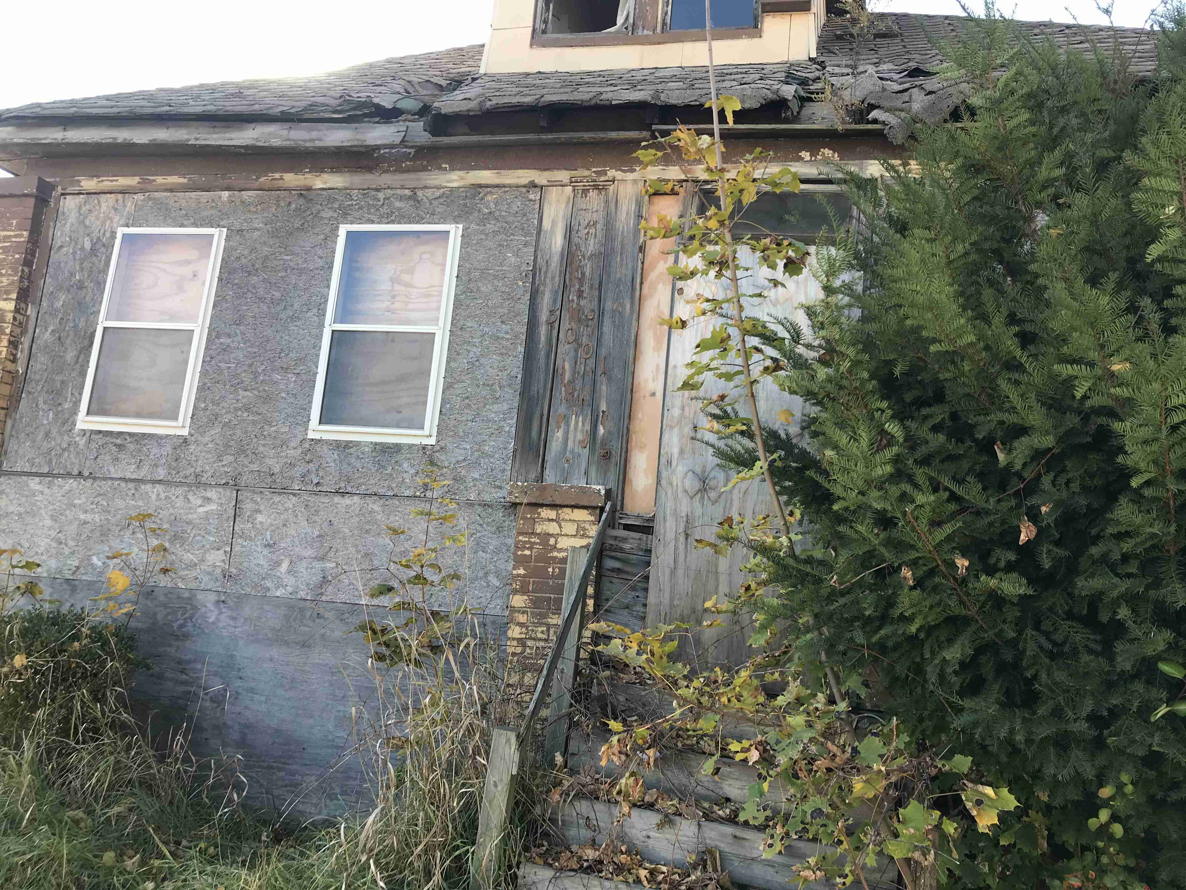 Photo Nov 03, 2 07 30 PM.jpg